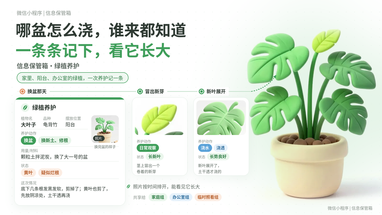 绿植养护